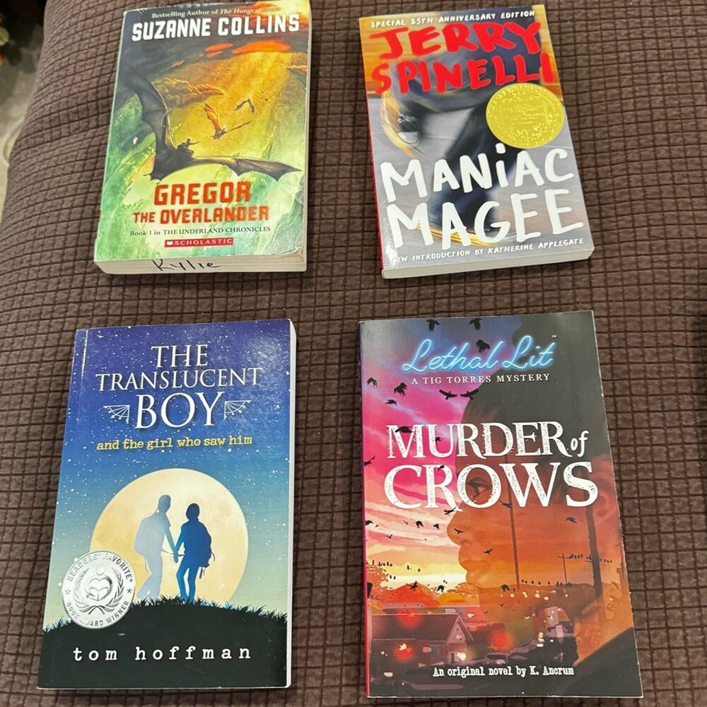 Ser of 4 booking, including The Transclucent Boy Book by Tom Hoffman